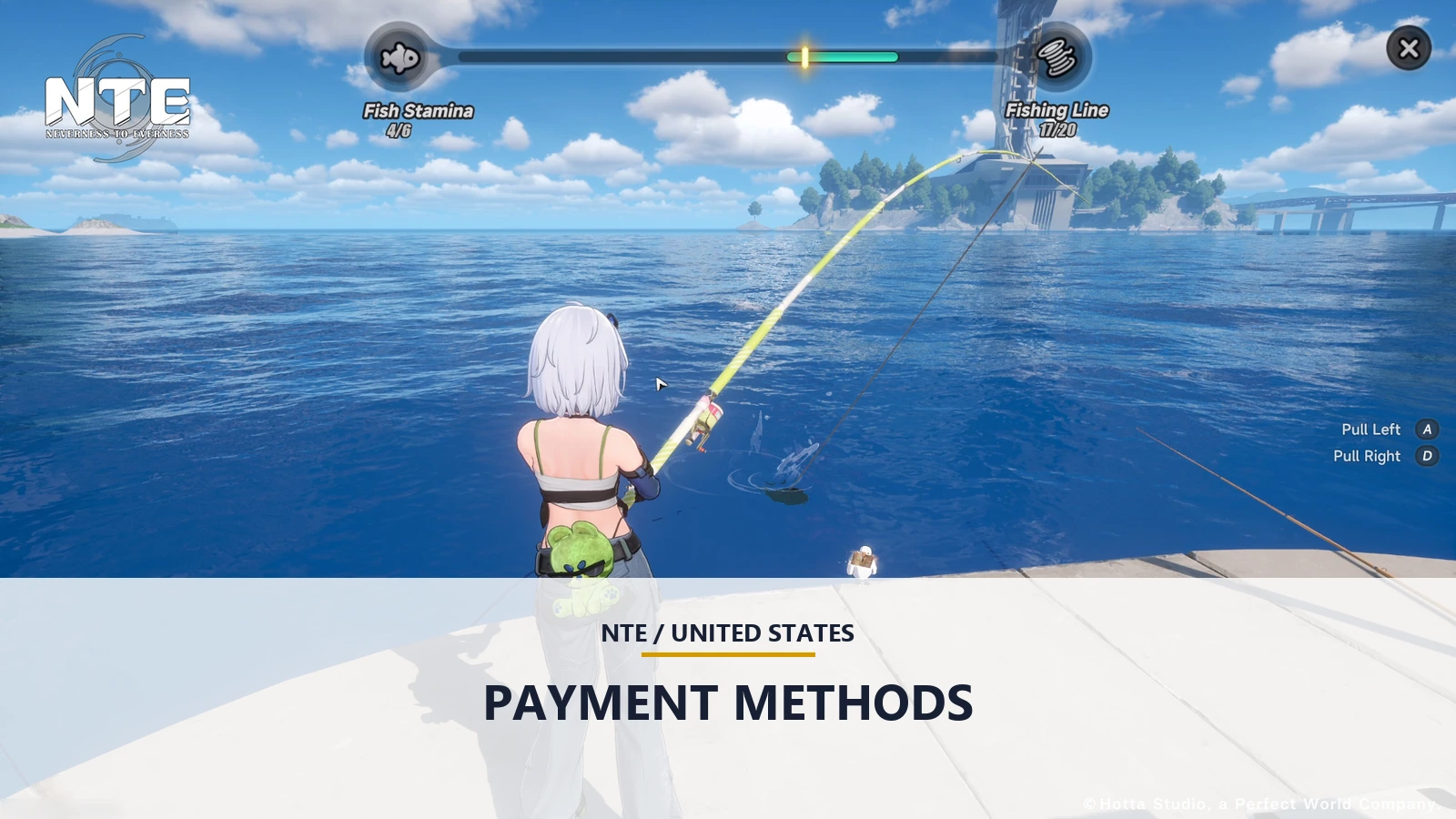 NTE Payment Methods and Fees in the US on ManaBuy