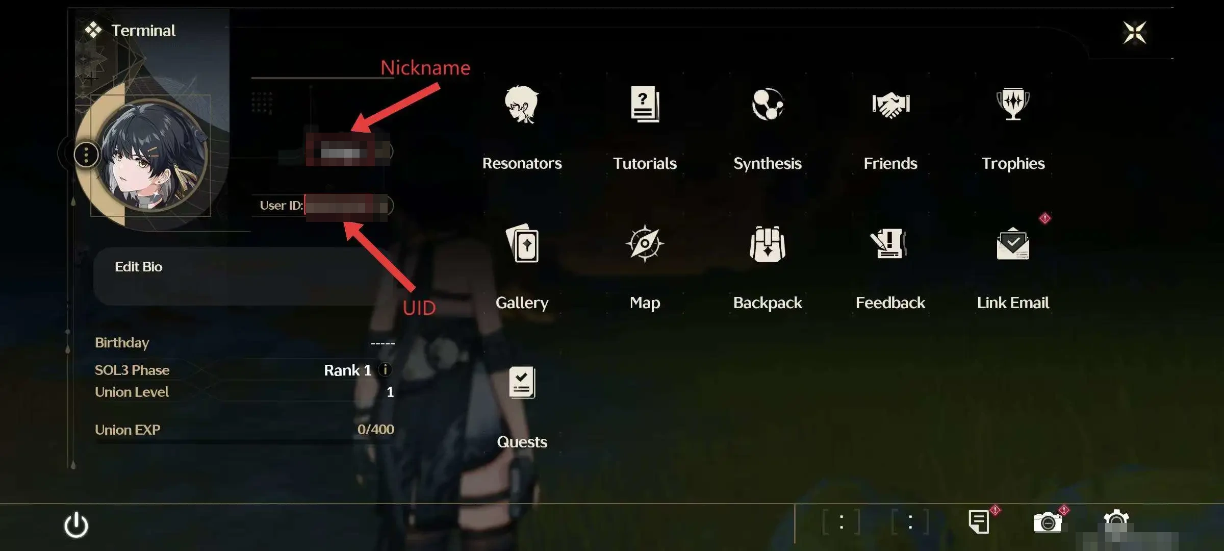 Find the Wuthering Waves UID on the profile overview page