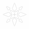 Ningguang Starshatter icon