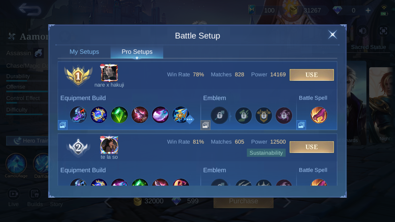 Aamon Pro Setup rank 1 in-game build sample