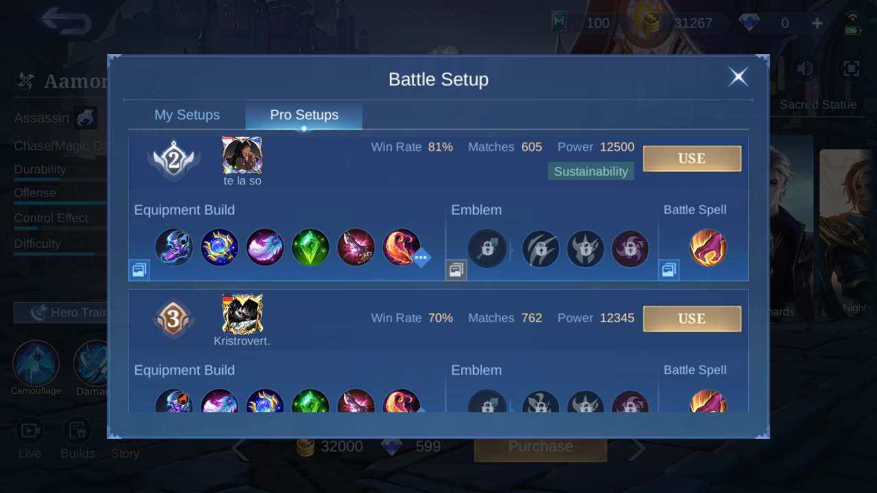 Aamon Pro Setup rank 2 in-game build sample