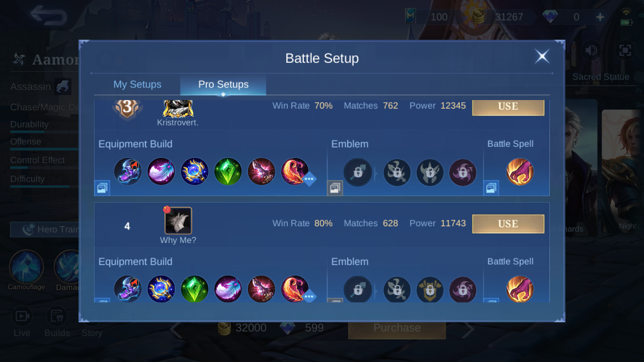 Aamon Pro Setup rank 4 in-game build sample