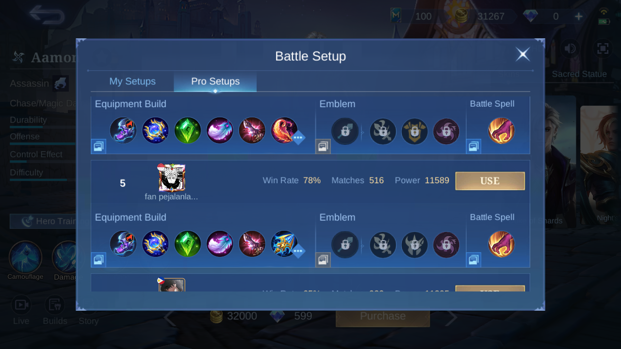 Aamon Pro Setup rank 5 in-game build sample