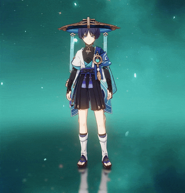 Wanderer Idle Animation 1 animation
