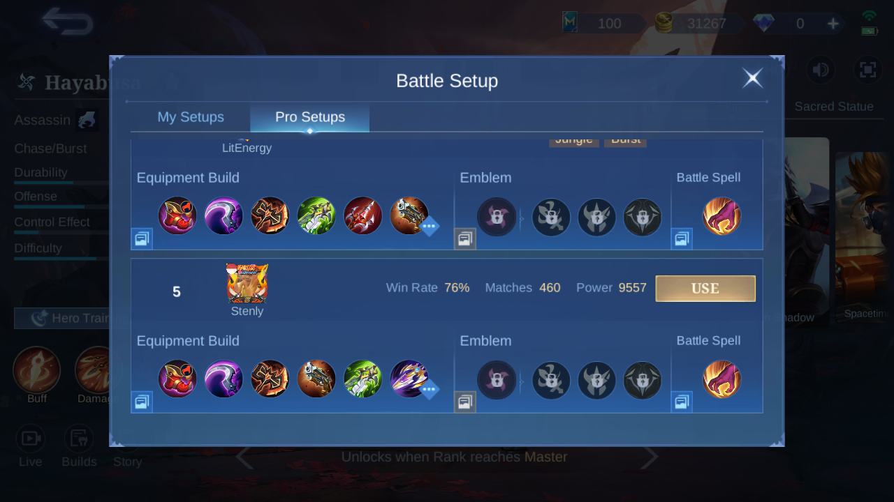 Current in-game Hayabusa Pro Setup rank 5 snapshot