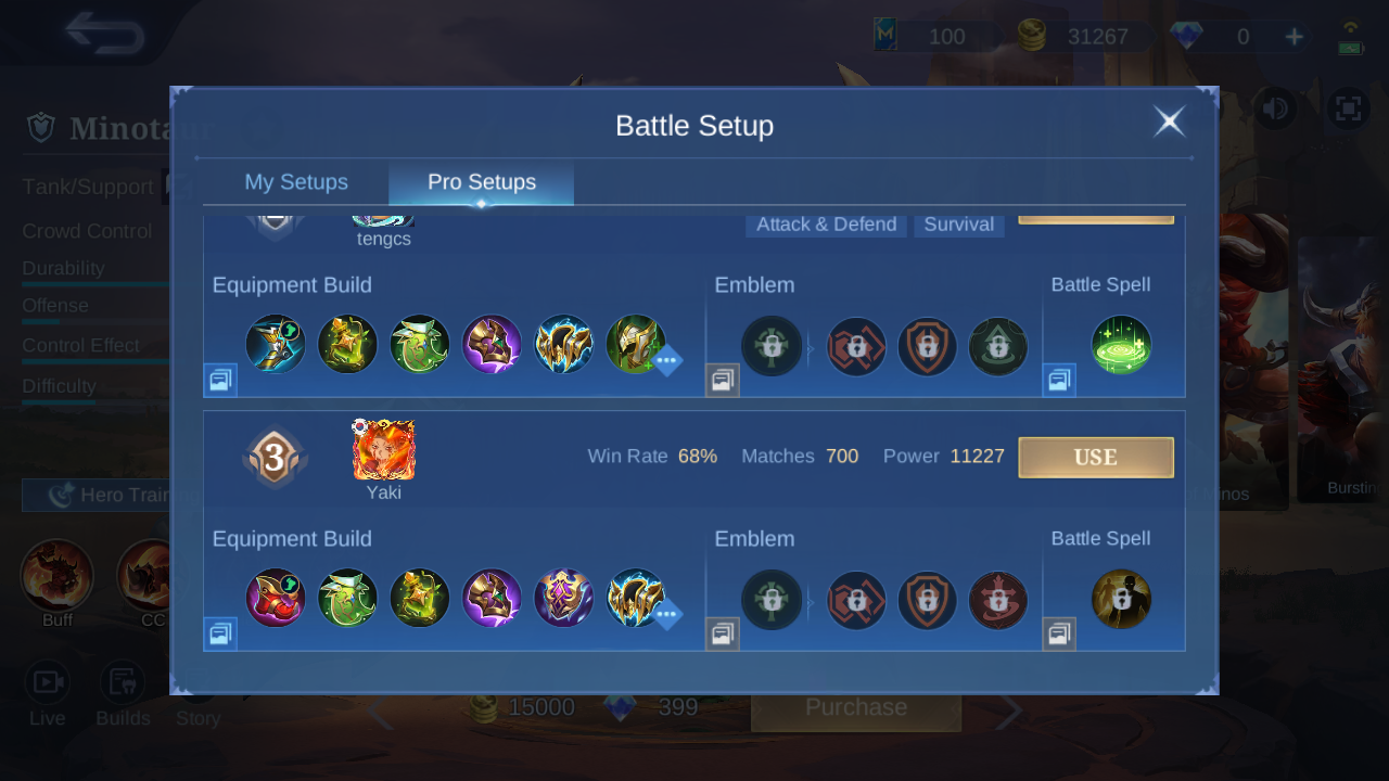 Minotaur Pro Setup rank 2 in-game build sample