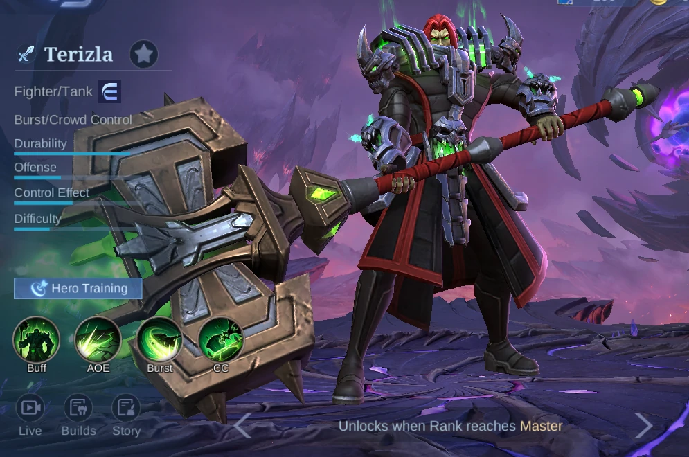 Terizla Fighter and Tank hero overview