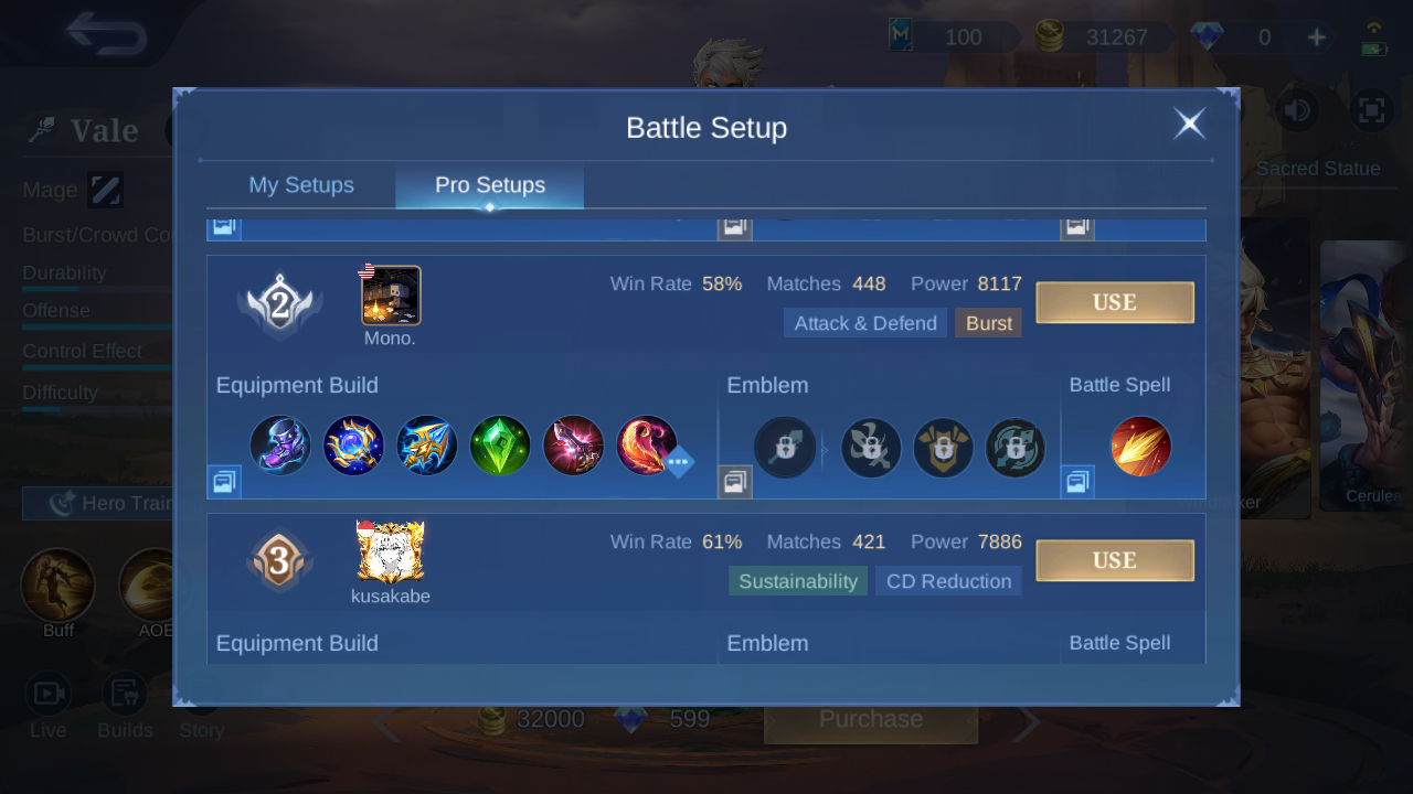 Vale Pro Setup rank 2 in-game build sample