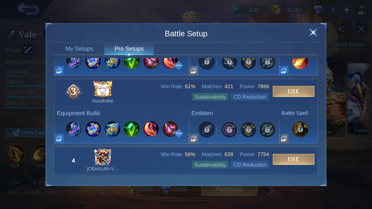 Vale Pro Setup rank 3 in-game build sample