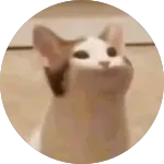 DaniXR